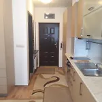 Апартамент Detelina