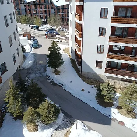 Detelina Bansko