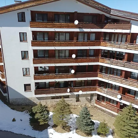 Apartament Detelina *