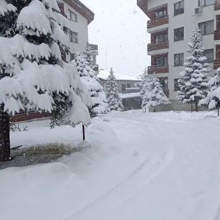 Detelina Apartament *