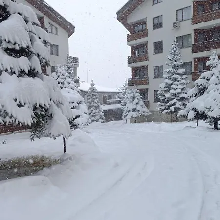 Detelina Appartement *