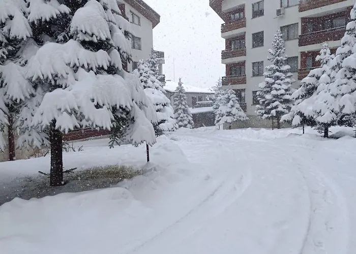 Detelina Appartement *